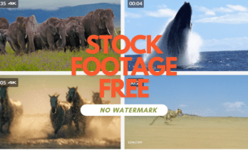 Royalty free images download no watermark