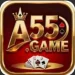A55 Game